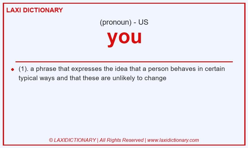 Definition you in American English