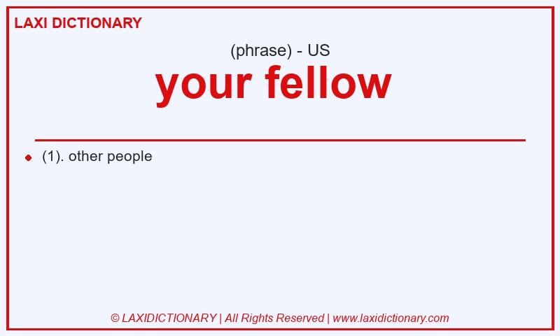 Definition your fellow  in American English