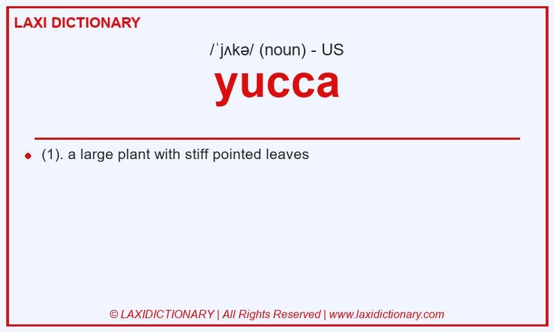 Definition yucca in American English
