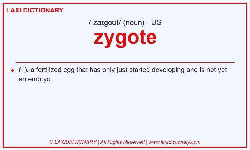 Definition zygote in American English