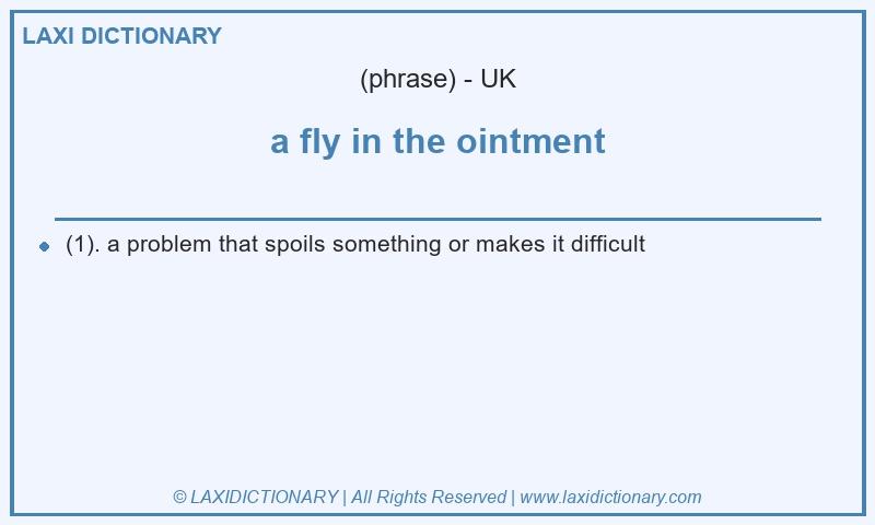Definition a fly in the ointment in British English