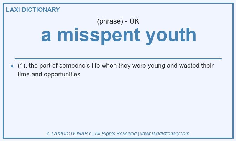 Definition a misspent youth in British English