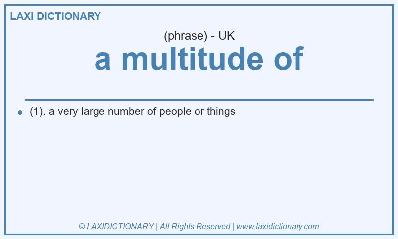 Definition a multitude of in British English
