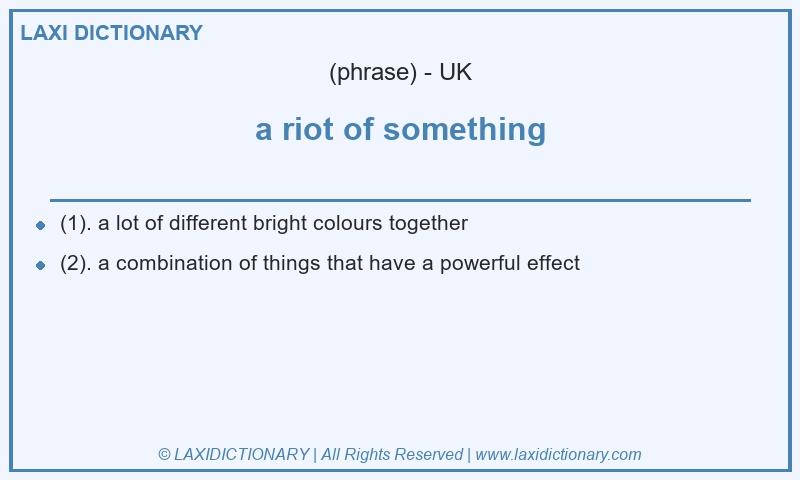 Definition a riot of something in British English