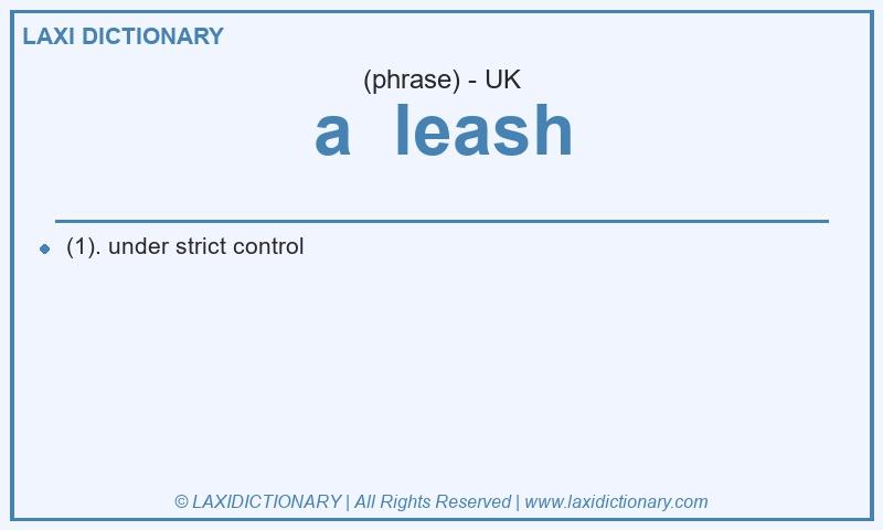 Definition a leash in British English