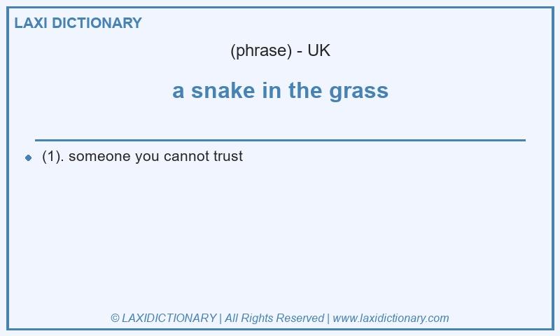 Definition a snake in the grass in British English