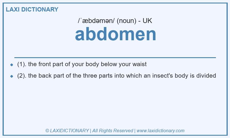 Definition abdomen in British English