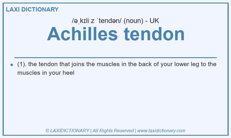 Definition Achilles tendon in British English
