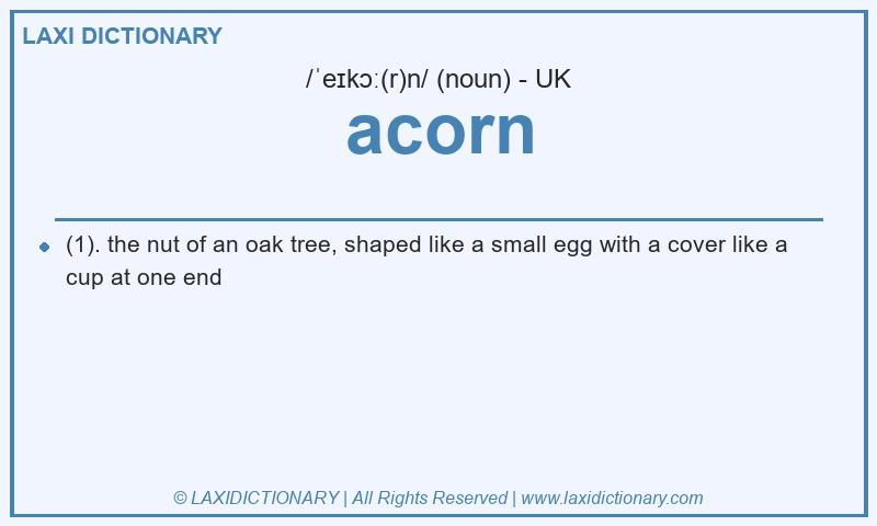 Definition acorn in British English