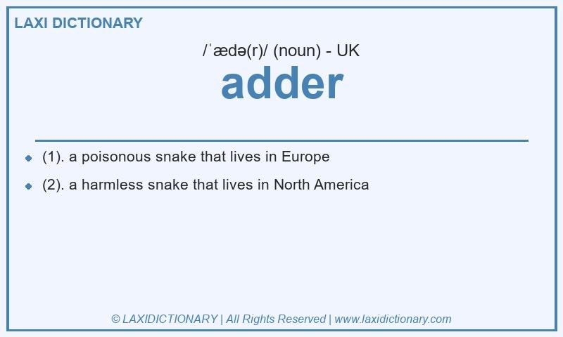 Definition adder in British English