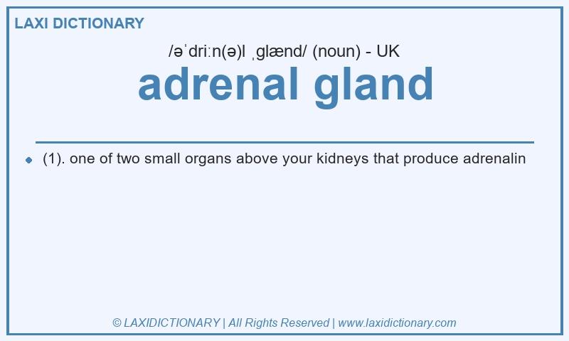 Definition adrenal gland in British English