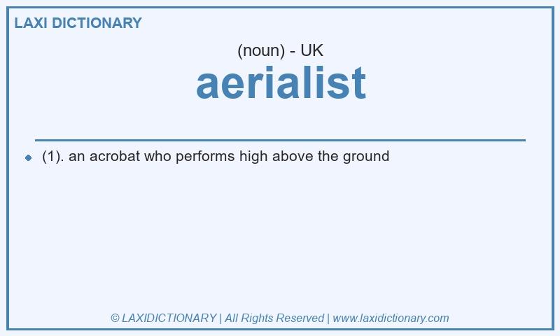 Definition aerialist in British English