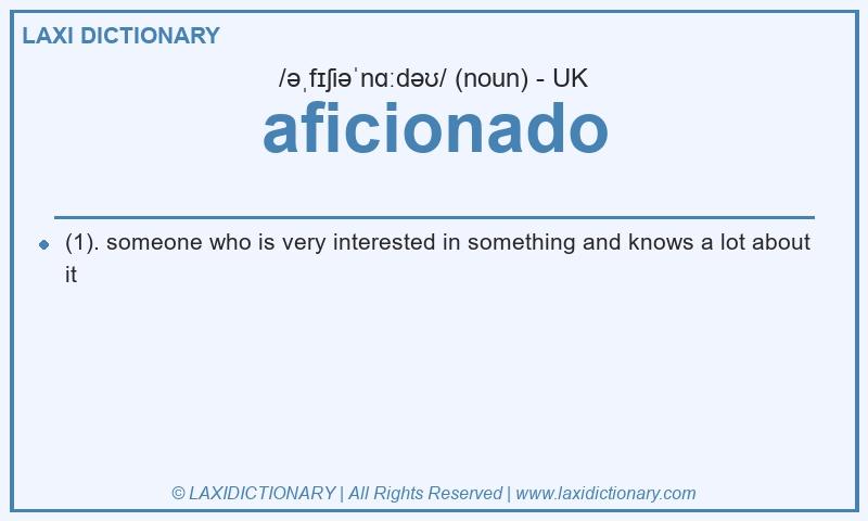 Definition aficionado in British English