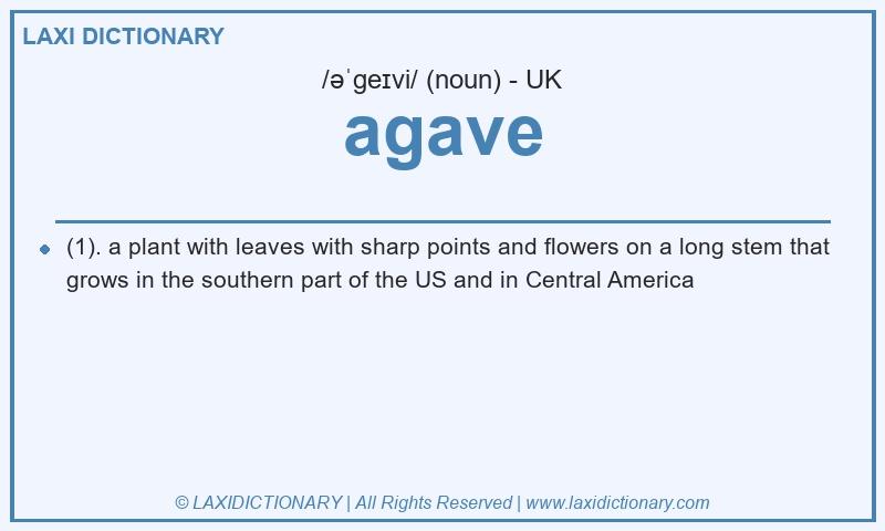 Definition agave in British English