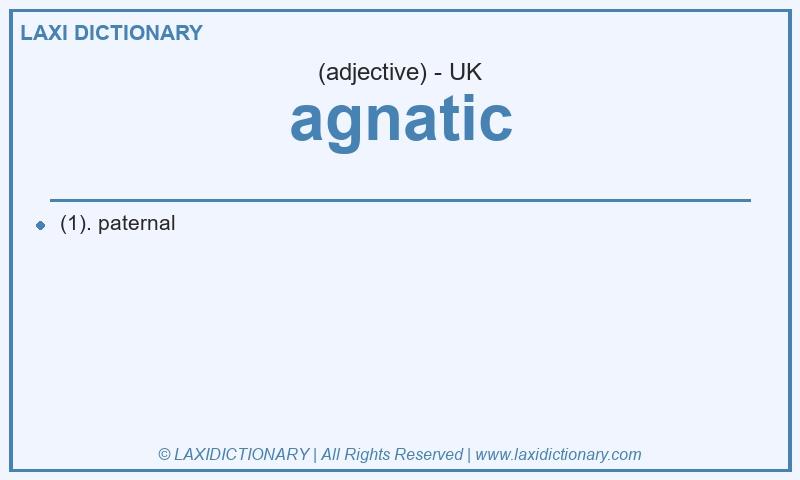 Definition agnatic in British English