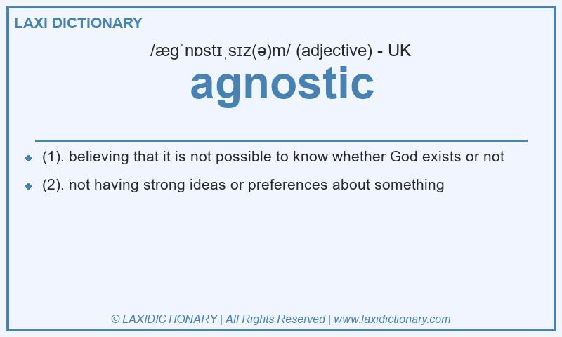 Definition agnostic in British English