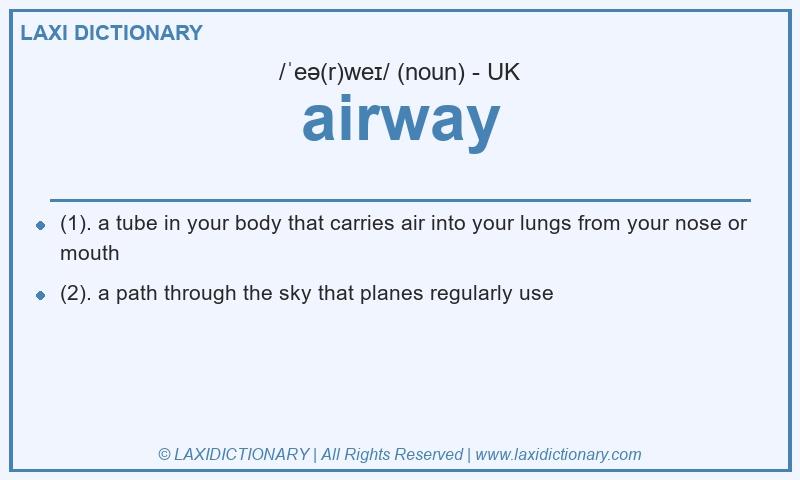 Definition airway in British English