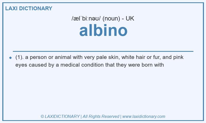 Definition albino in British English