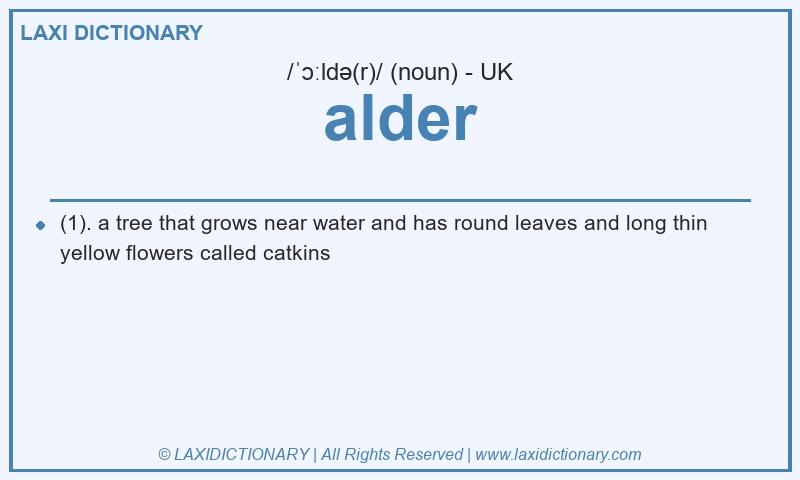Definition alder in British English