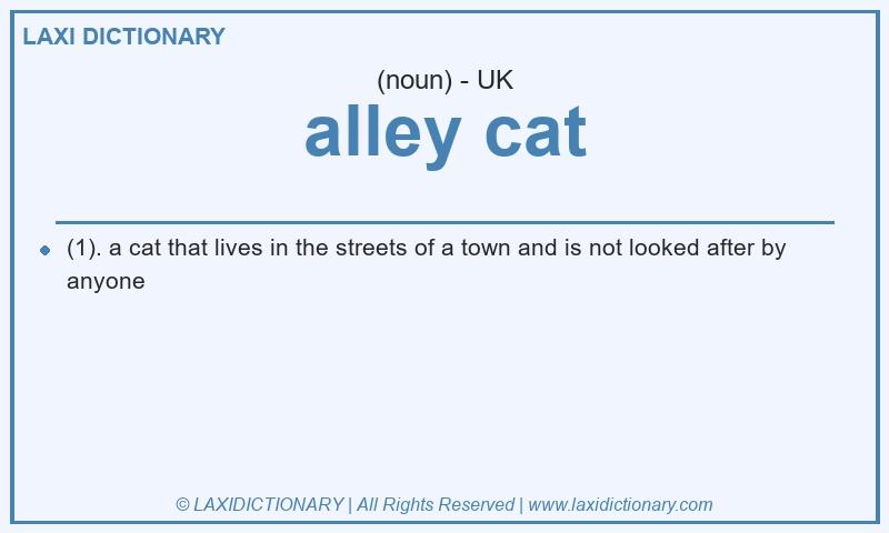 Definition alley cat in British English