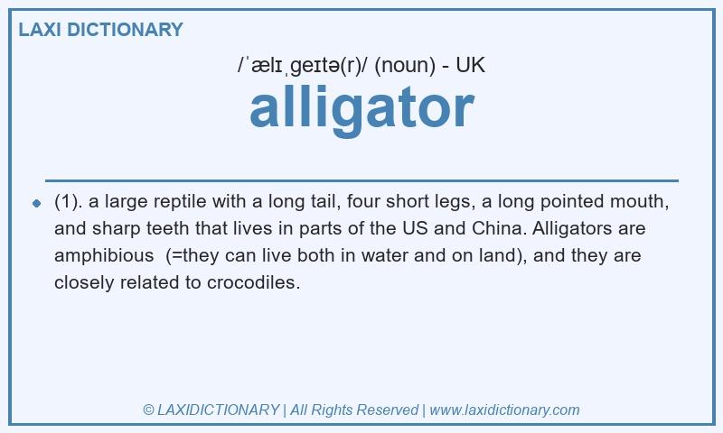 Definition alligator in British English