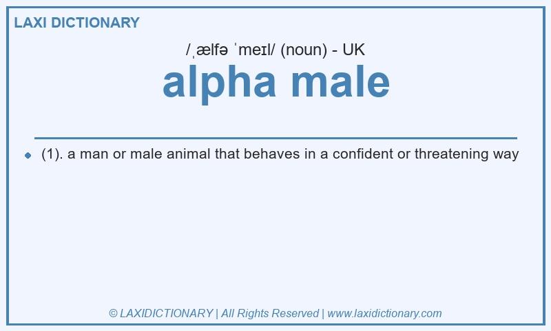 Definition alpha male in British English