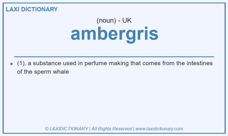 Definition ambergris in British English