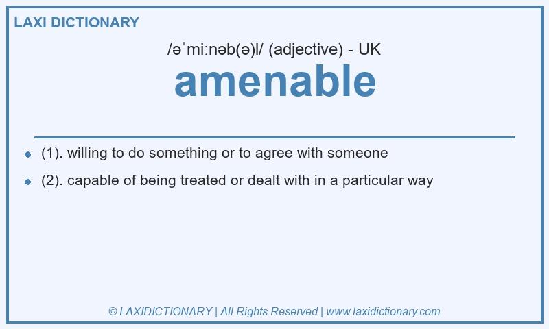 Definition amenable in British English