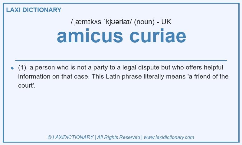 Definition amicus curiae in British English