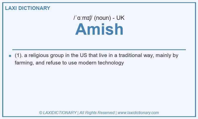 Definition Amish in British English