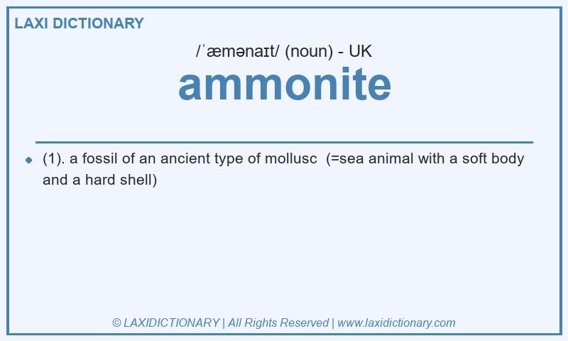 Definition ammonite in British English