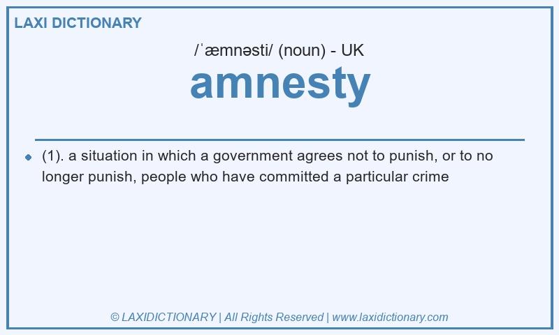 Definition amnesty in British English