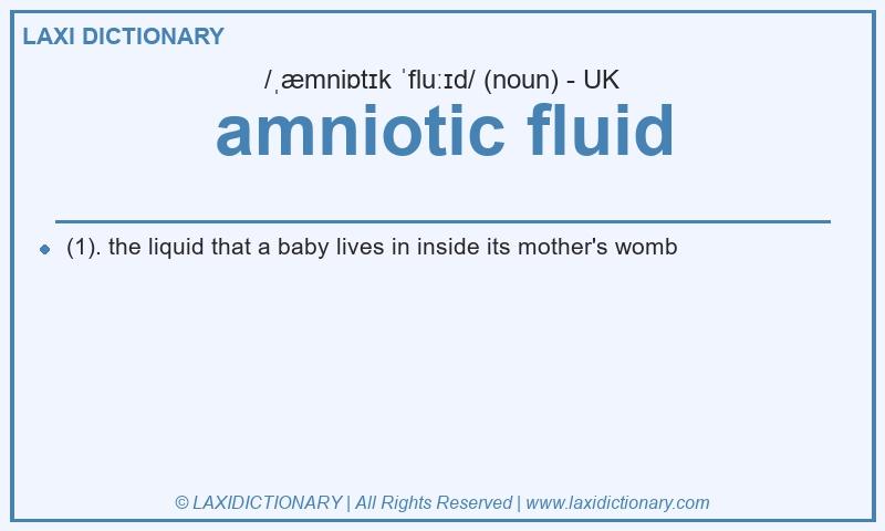 Definition amniotic fluid in British English