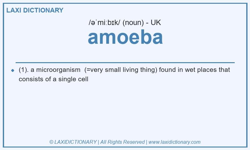 Definition amoeba in British English