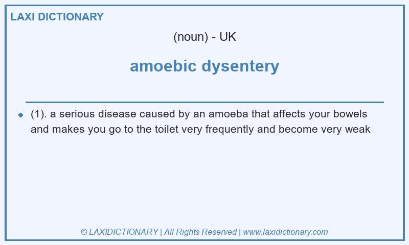 Definition amoebic dysentery in British English