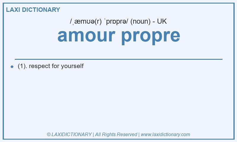 Definition amour propre in British English