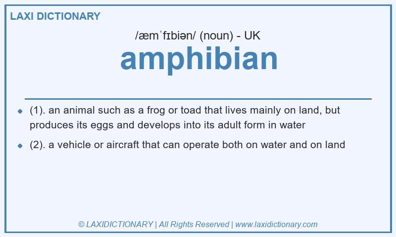 Definition amphibian in British English