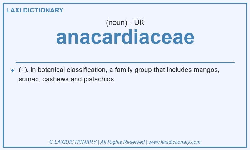 Definition anacardiaceae in British English