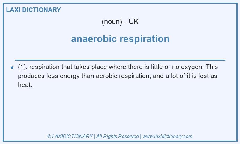 Definition anaerobic respiration in British English