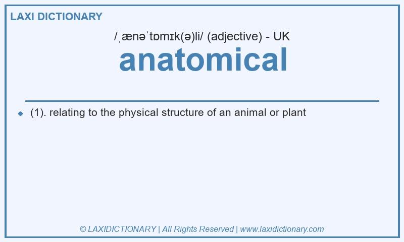 Definition anatomical in British English
