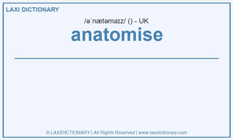 Definition anatomise in British English