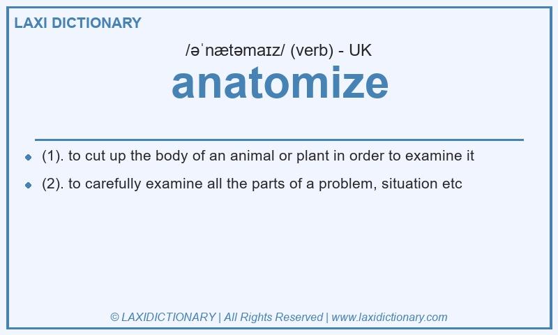 Definition anatomize in British English