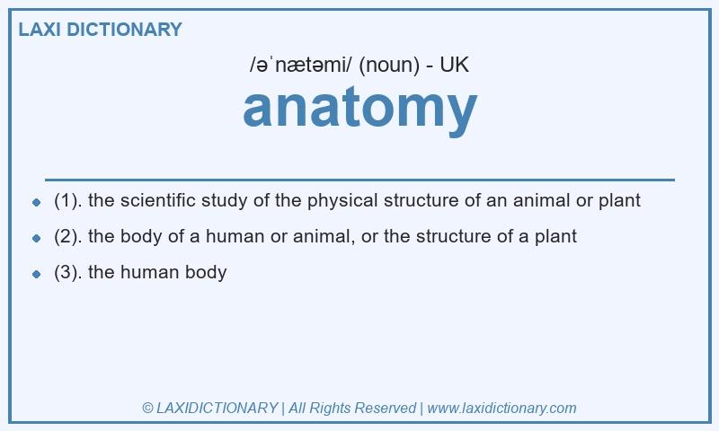 Definition anatomy in British English