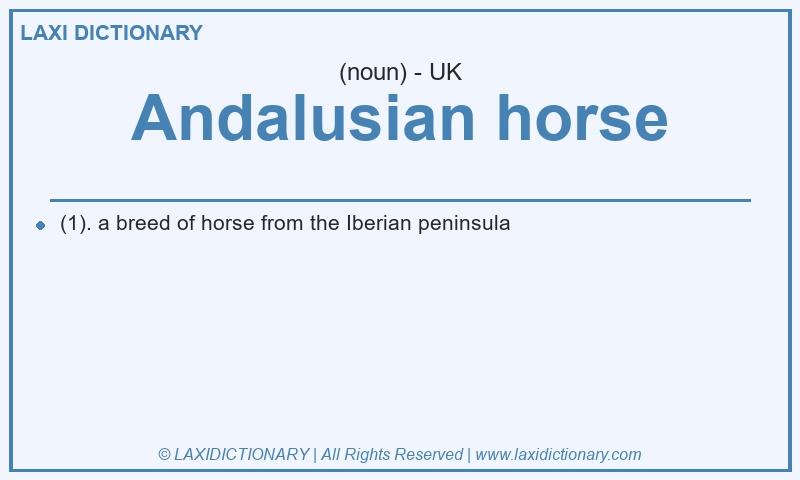 Definition Andalusian horse in British English