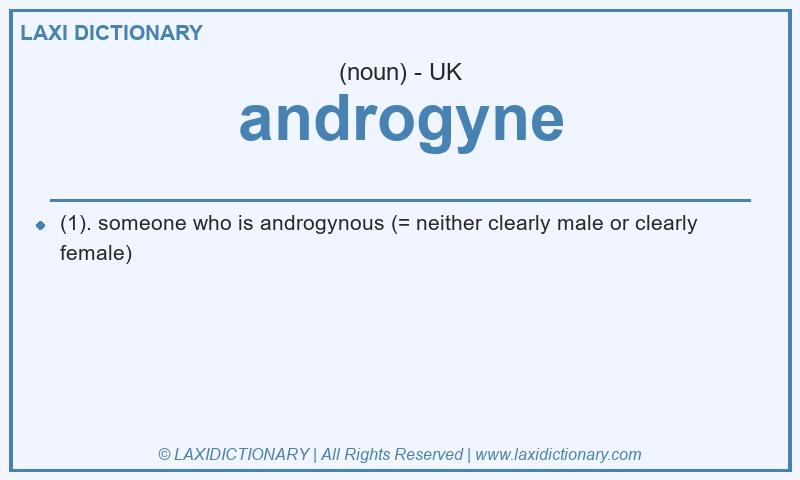 Definition androgyne in British English