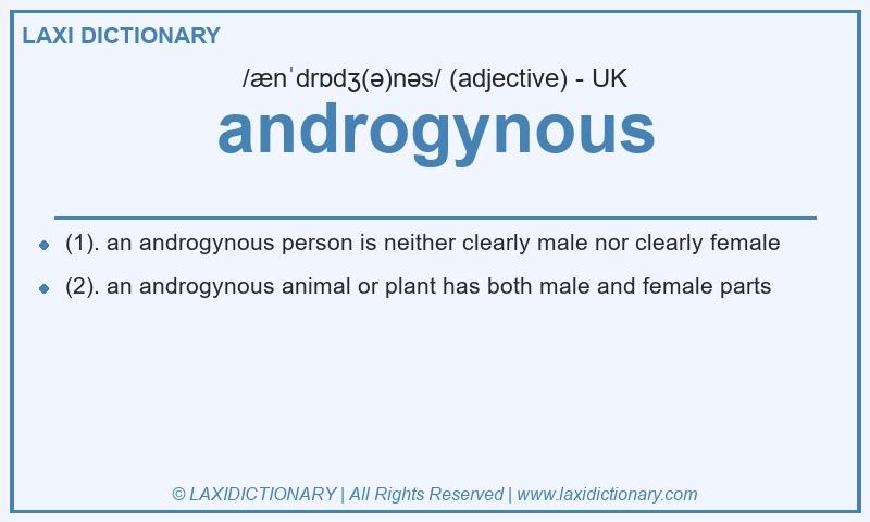 Definition androgynous in British English