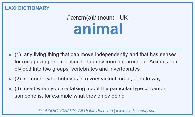 Definition animal in British English