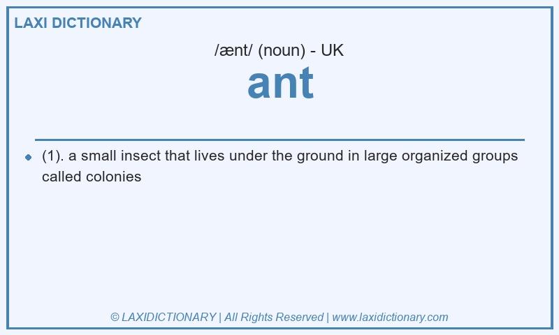 Definition ant in British English