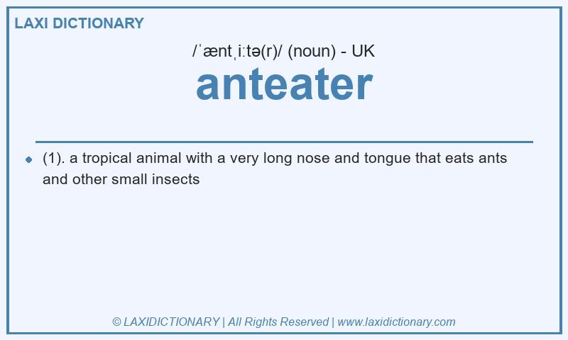 Definition anteater in British English