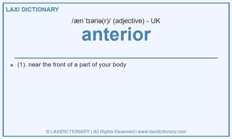 Definition anterior in British English